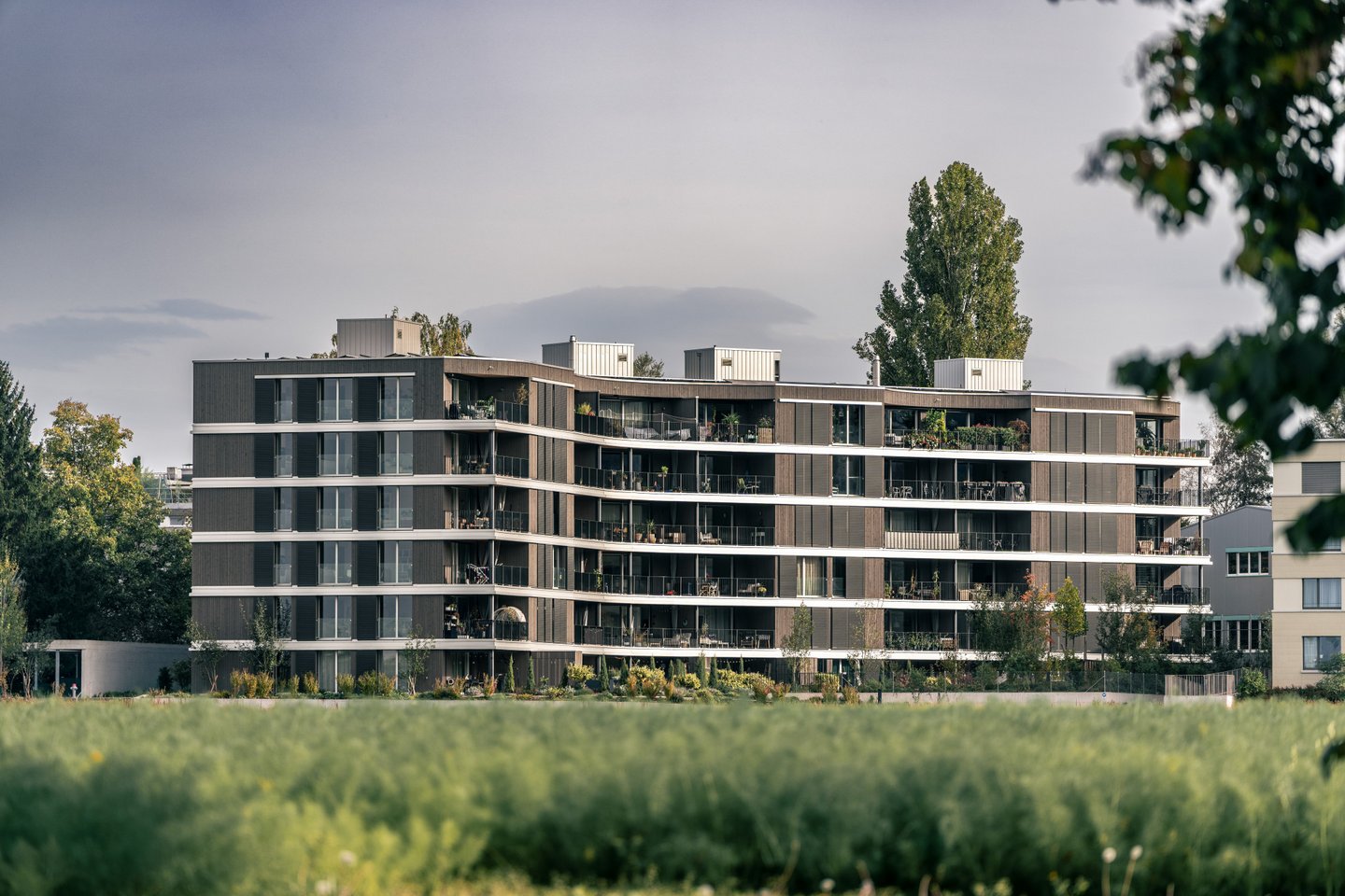 Project Sunnehof Fällanden