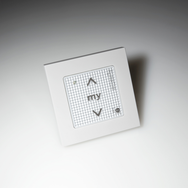 Lamellenstoren - Option Antriebsarten Wandschalter